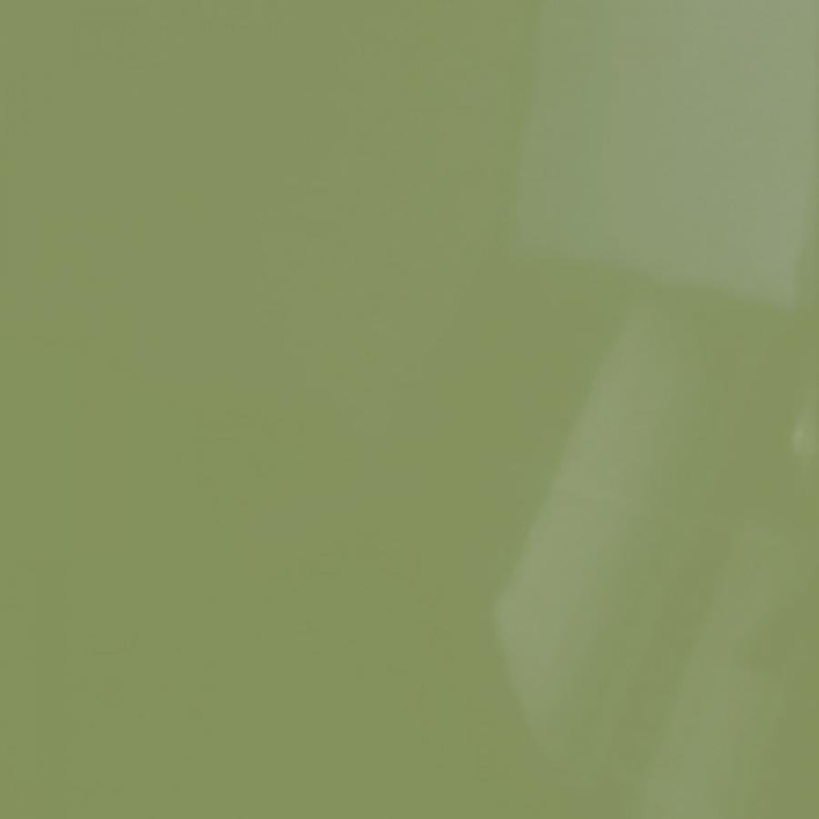 RAL 6013